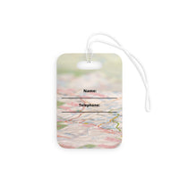 Catch Flights Not Feelings Globe Luggage Tags